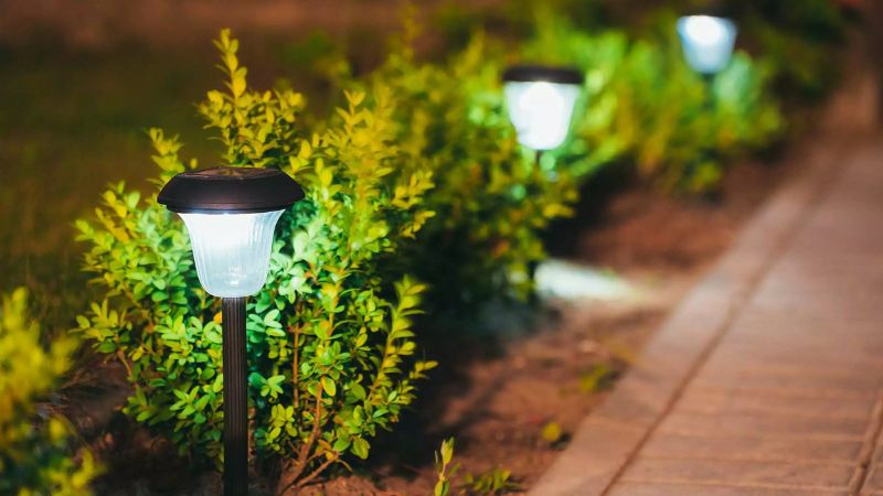 luminaria solar iluminando o caminho de um jardim 